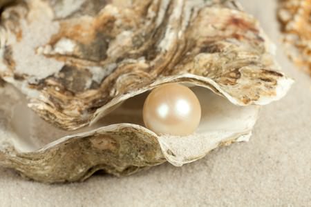 Does Every Oyster Have a Pearl?