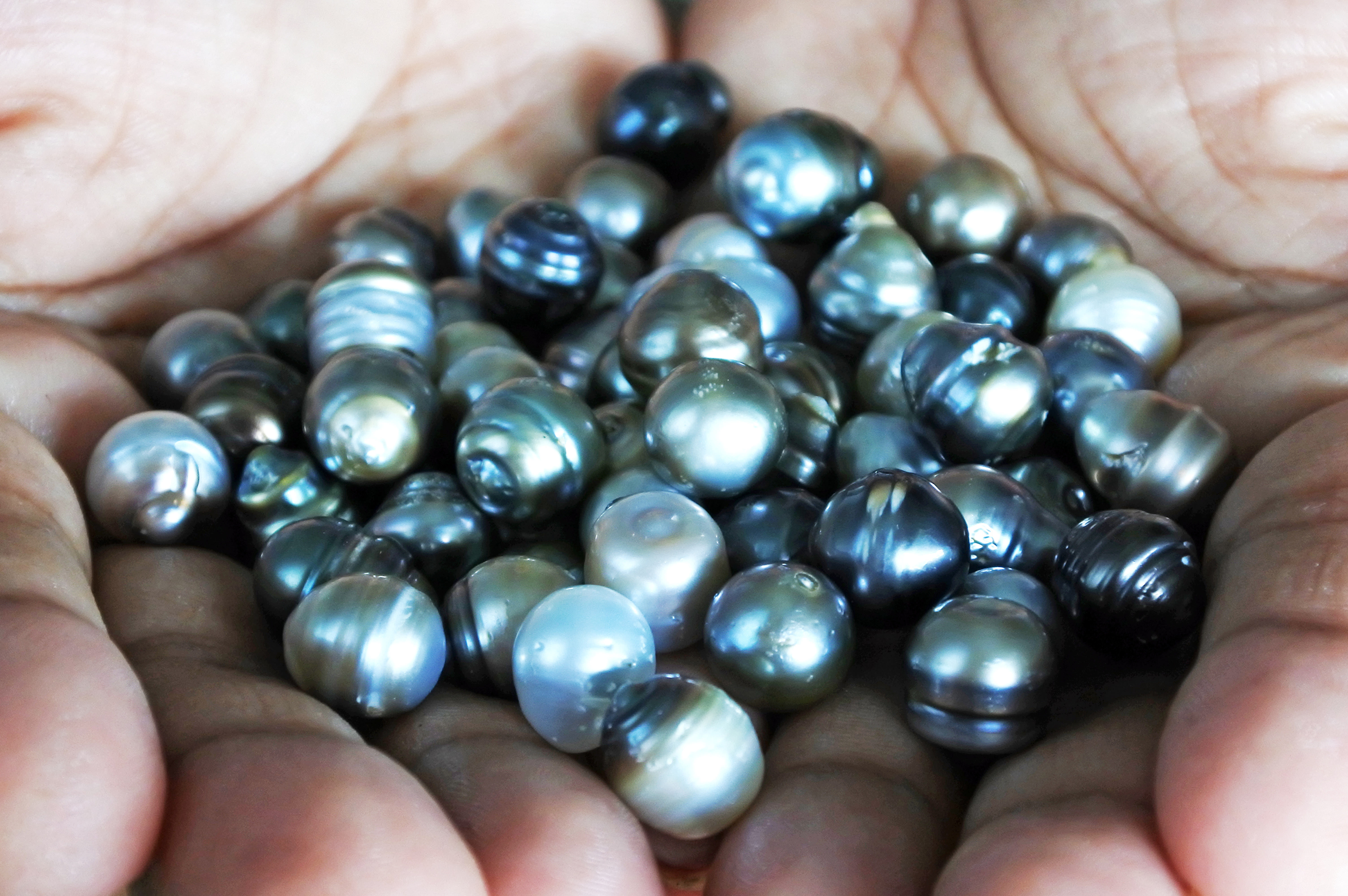 Pearl Meaning: The Myths Behind These Sea Gems - TPS Blog
