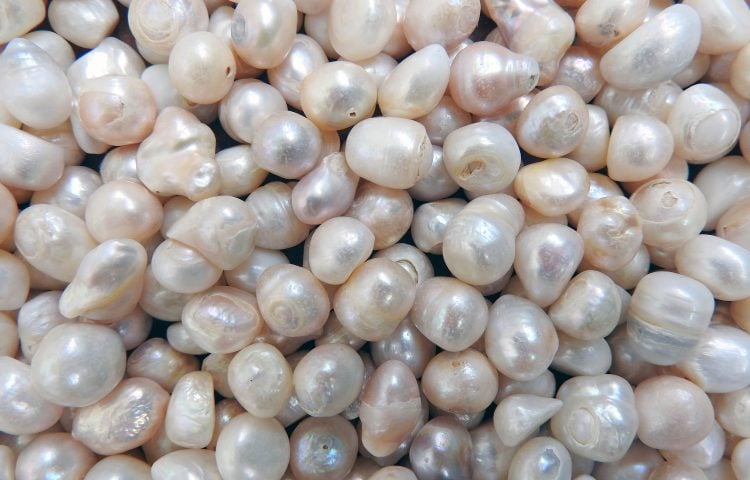 Freshwater Pearl Farming: The Ins and 