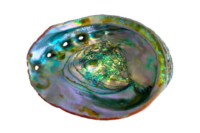 What Is Mother of Pearl? A Guide to Mother of Pearl Jewelry