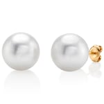 11mm South Sea Round Pearl Stud Earrings- Choose Your Quality