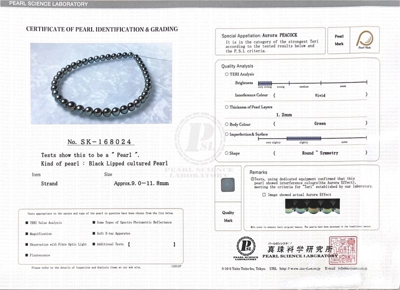 9-11.8mm Peacock Tahitian South Sea Pearl Necklace - PSL Certified - Secondary Image