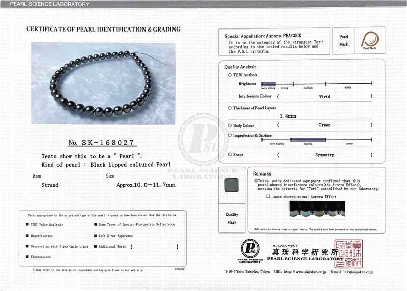 10-11.7mm Peacock Round Tahitian South Sea Pearl Necklace - Top Quality PSL Certified - Model Image